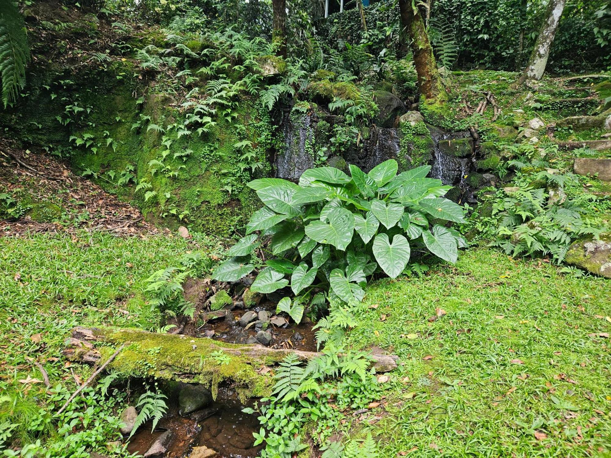 Cantinho Das Oliveiras. Gramado Bagian luar foto