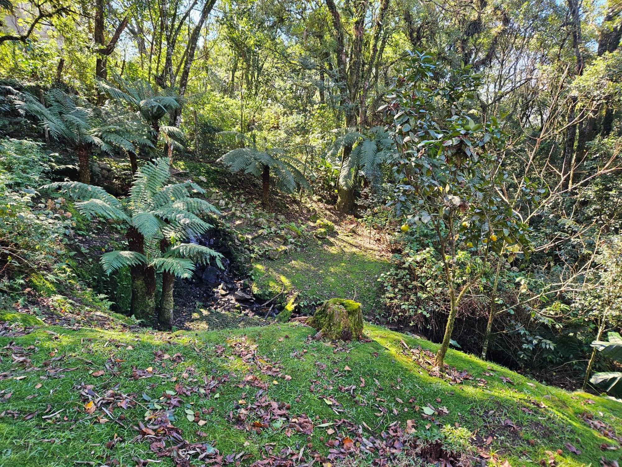 Cantinho Das Oliveiras. Gramado Bagian luar foto